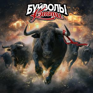 Буйволы Кэтти