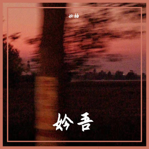 水果小肆-浪人琵琶（伴奏版）（妗柚 remix）