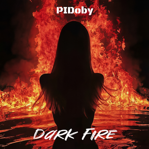 Dark fire（暗黑之火）