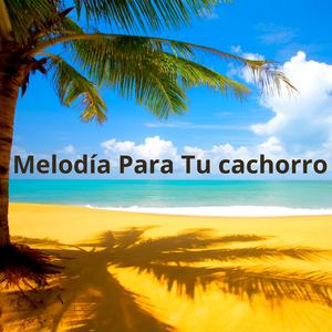 Melodi për qenushin tuaj