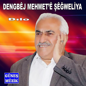 Dılo