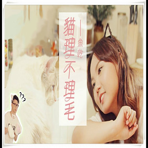 貓理不理毛