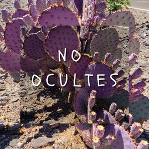 No Ocultes