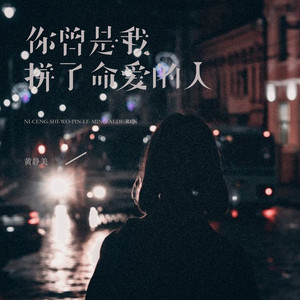 你曾是我拼了命爱的人