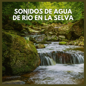 Sonidos de Agua de Río en la Selva (P08)