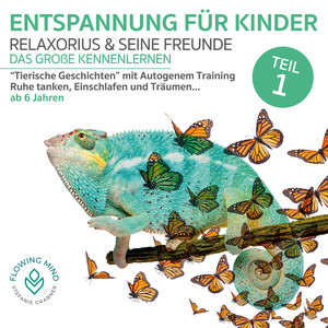So entspannst du mit Karetta, der Karettschildkröte, unter Wasser (Teil 3)