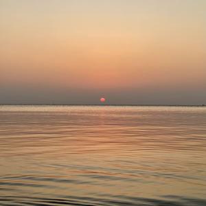 徐闻预计未来晴转大雨，持续到我的泪腺干涸