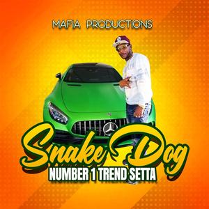 number 1 trend setta