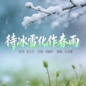 待冰雪化作春雨