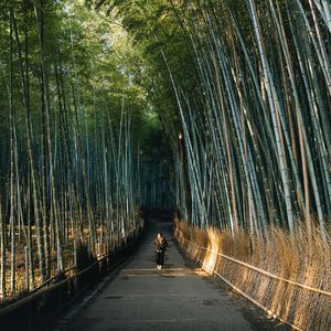 故人-整曲 伴奏