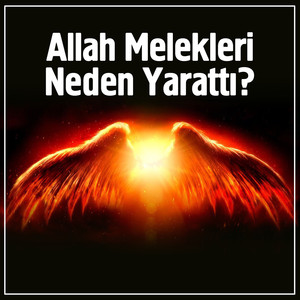 Allah Melekleri Neden Yarattı