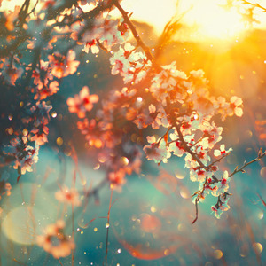 Quên Hết Kiếp Trước