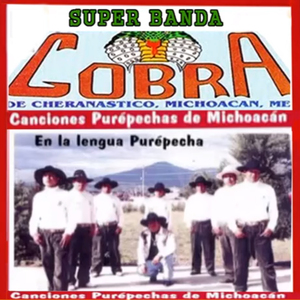 Pukuritsipata