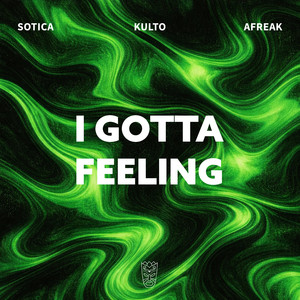 I Gotta Feeling (Afro House)