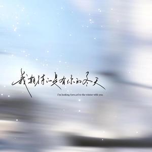 纯音乐（最美的冬天）