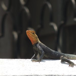 Ombre & lumière - Shadow & Light