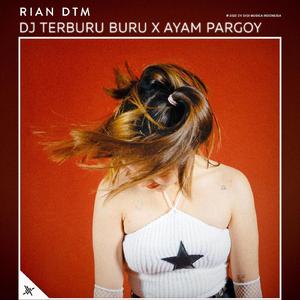 DJ Terburu Buru X Ayam Pargoy
