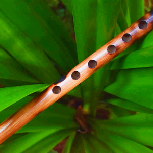 Bahut Pyar Karte Hain Flute Cover