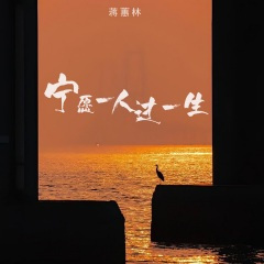 宁愿一人过一生 (DJ默涵版)