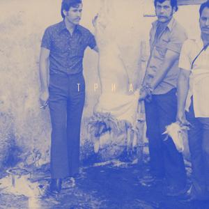 Καλοκαιρινό