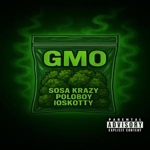 Gmo (feat. Sosa Krazy & PoloBoy)