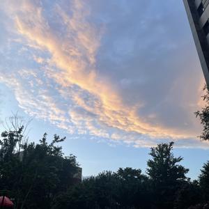 最后的重逢_千浔.mp3