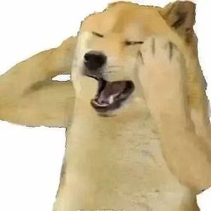 "如果时宴清醒过来，想要纠正这一切...那我一定会一脚踩空，狠狠坠落吧"