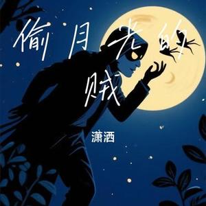 偷月光的贼