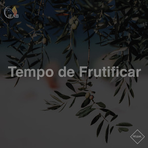 Fructificar