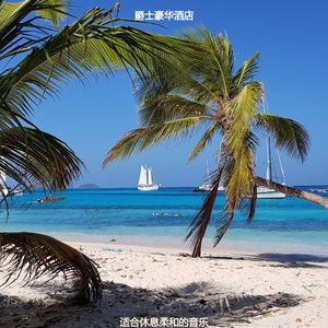 静止美丽的波萨诺伐舞曲