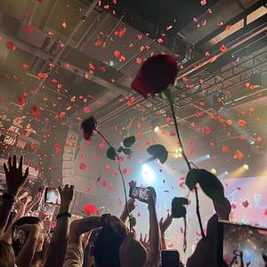 可以摆烂咯（片段）