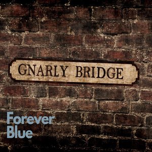 Forever Blue (Goodbye Goodison Mix)