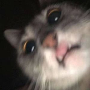 逆鳞生长