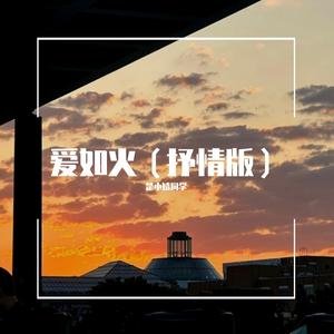爱如火（抒情版）