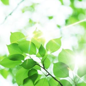 想い続けるのはやめよう（改訂版）