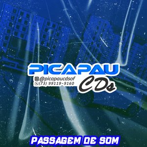 Passagem de Som Pica Pau CDs