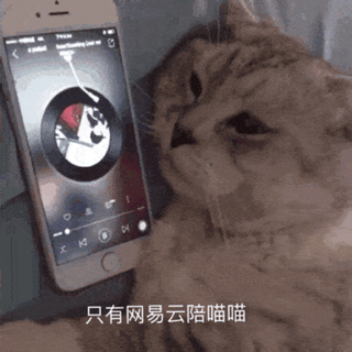 「翻唱」好听的歌永远没有完整版