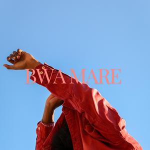bwamare