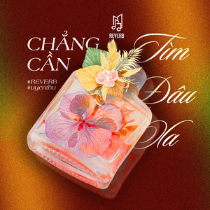 Chẳng Cần Tìm Đâu Xa