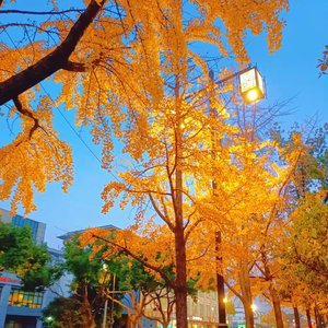 你从来没有爱过我