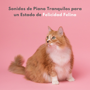 Melodía Apacible Perrrrfecta