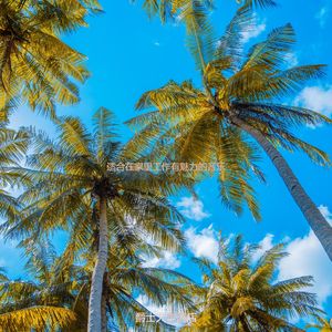 适合办公室工作平衡的音乐