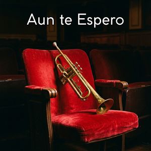 Quiero expresar