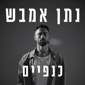 כנפיים