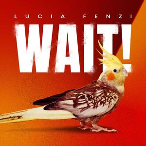 WAIT!