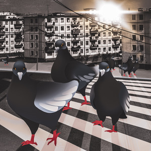 Душные голуби