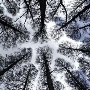 新角色 Prod.Yn1Jasper