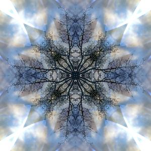 Falling Into Silence