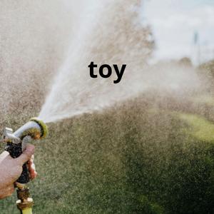 toy
