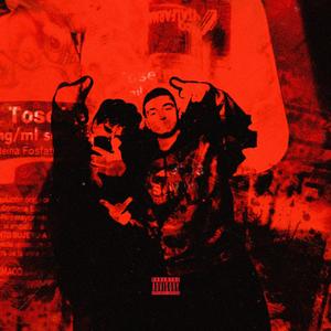 toseina (feat. raid01)